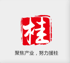 聚焦產(chǎn)業(yè)，努力援桂